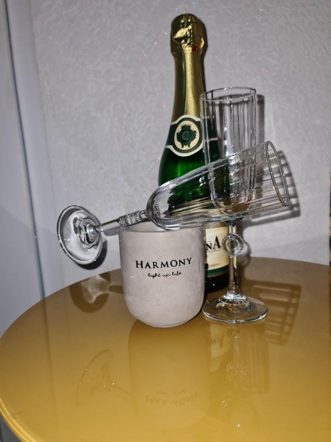 Apartman -HARMONY- Paracin Bagian luar foto