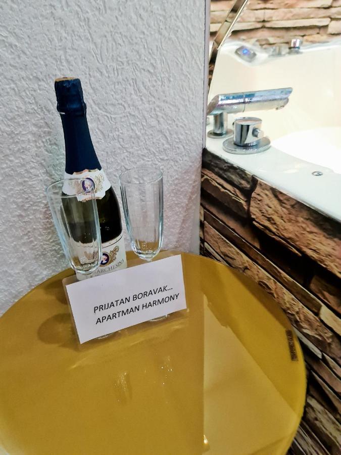 Apartman -HARMONY- Paracin Bagian luar foto