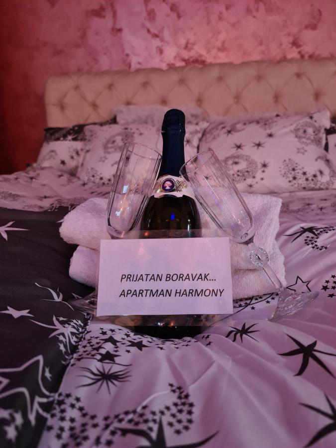 Apartman -HARMONY- Paracin Bagian luar foto